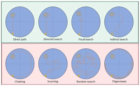 Biomedicines Free Full Text Search Strategy Analysis Of 5xFAD