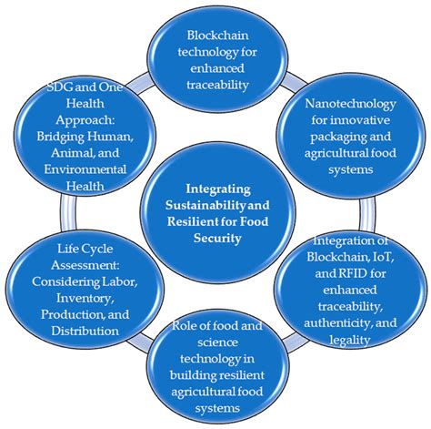 Building Resilience in Food Security: Sustainable Strategies Post-COVID-19