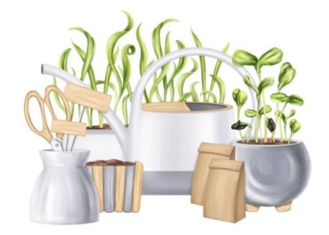 Garden Cartoon Pngs For Free Download