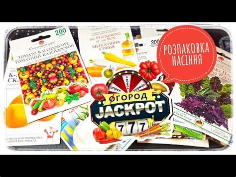 Розпаковка нового насіння. Нова рубріка на каналі "Огород Джекпот ...