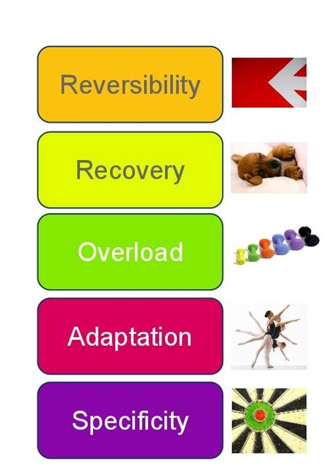 Overload Training Principle