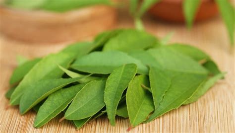 Health Benefits Of Curry Leaves And How To Use Them Healthshots