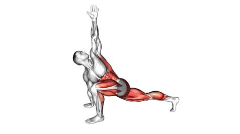 10 Cable Machine Core Exercises For A Stronger And Defined Midsection - Workout Guru