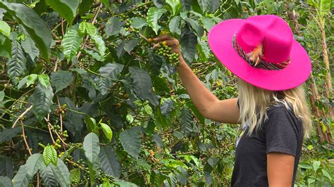 Freshly Roasted Specialty Coffee with a Hint of Adventure – Tropical
