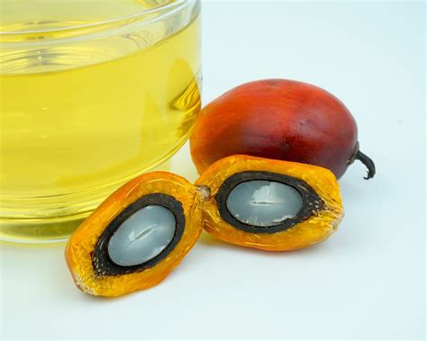 Palm Oil Exporters | Palm Oil Suppliers | HAS Commodities LLC