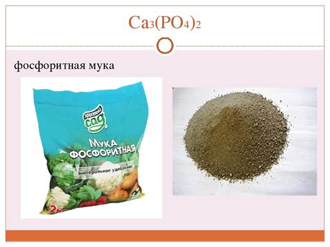 Фосфоритная мука: состав и свойства, особенности применения как удобрения