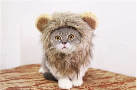 Забавный костюм для домашних животных, кошек, парик Лев, грива, шапка ...