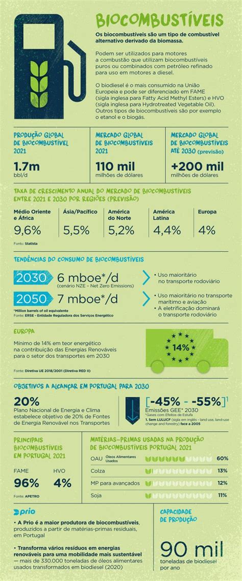 Quais As Consequências Para O Ambiente Do Uso De Biocombustíveis - Biocombustíveis: Ser sustentável para reduzir a pegada ecológica ...