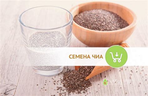 Семена чиа для похудения – как принимать, рецепты и отзывы