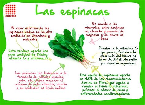 Beneficios Para La Salud De Las Espinacas Infograf As Y Remedios