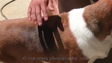 Male Model Nude Photoshoot Bts Thisvid