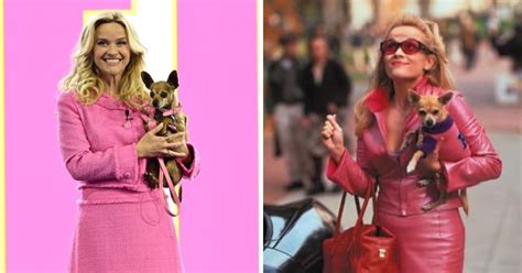 Elle Woods Is Back Fans Go Wild As Reese Witherspoon Goes Legally Blonde To Announce