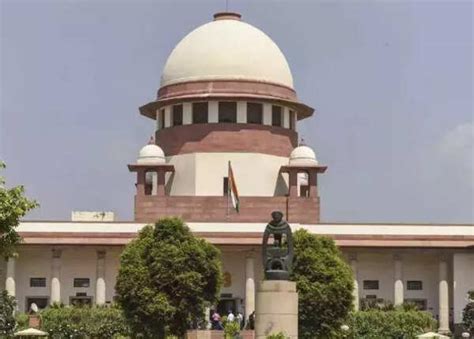 Jk Rowling Cheers Biological Sex Win Bridgerton Star Responds With Rage K Support Watch