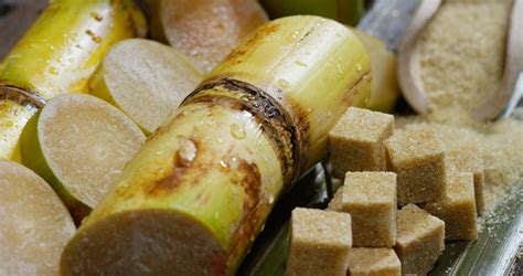 Cane Sugar: The Original Sugar
