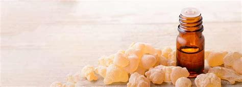 Benefits of Frankincense Oil And Its Side Effects | Lybrate