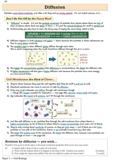 Diffusion Of Gases Elsiegromassey
