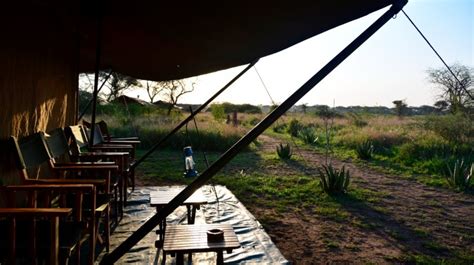 Top Serengeti Hotels and Lodges | Bookmundi.com