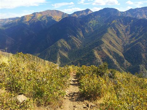 Future transit in Millcreek Salt Lake to reduce traffic jams 8