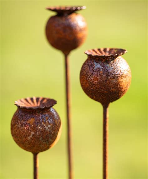 Er Set Mohn Edelrost Rost Deko Rostige Gartendeko Bl Ten Rovlier