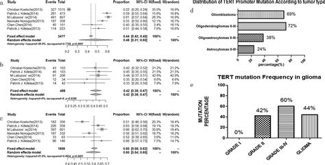 TERT Mutation In Glioma Frequency Prognosis And Risk Journal Of