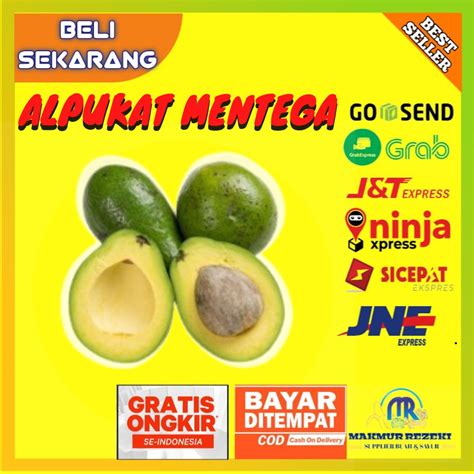 Jual Buah Alpukat Mentega Super Bergaransi Lampung Timur Manis Murah