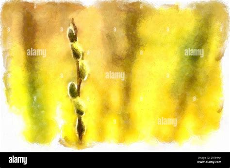 Abstract Illustration Of Pussy Willow Branches Digital Painting Effect Photo Manipulation