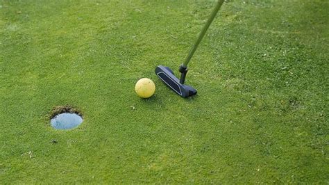Wie teuer ist ein Putter? 2024 - Golfforscher