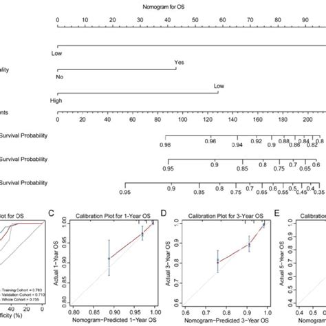 Nomogram Of OS For BC Patients A Nomogram For Predicting 1 3 And