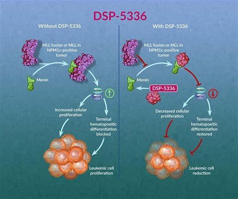 Sumitomo Dsp Menin Mll Binding Inhibitor By Sumitomo Pharma