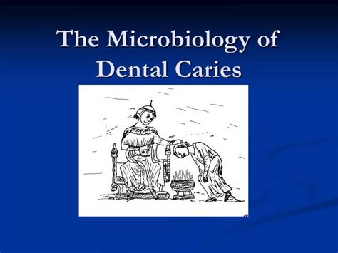 Ppt The Microbiology Of Dental Caries Powerpoint Presentation Free