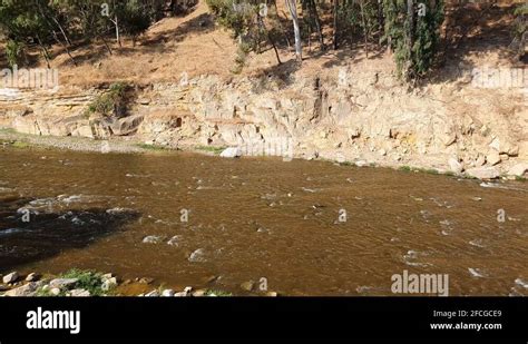 River Jabbok Stock Videos And Footage Hd And 4k Video Clips Alamy