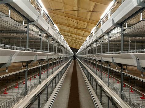 H Frame Broiler Battery Cage System For Sale Poultry Broiler Cage