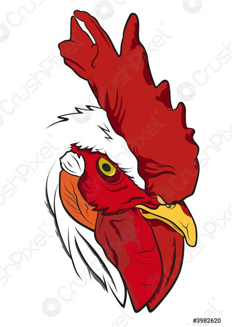 ROOSTER - stock vector 3982620 | Crushpixel