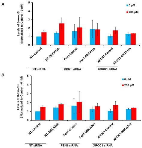 A Levels Of Oxo Dg In Brca Depleted And Fen Brca Or Xrcc Brca