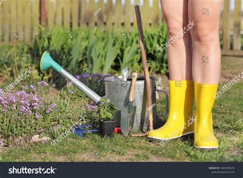 Naked Garden Images Stock Photos Vectors Shutterstock