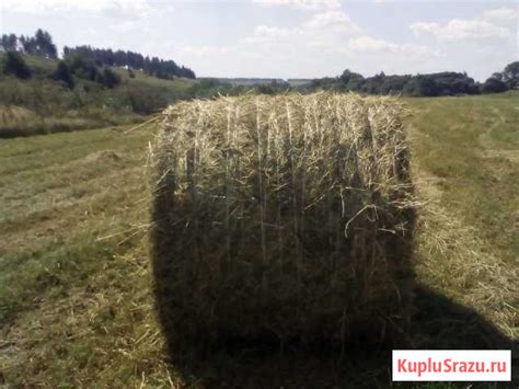 Сено и солома в рулонах по 350 кг в Прямицыно по цене Договорная цена ...