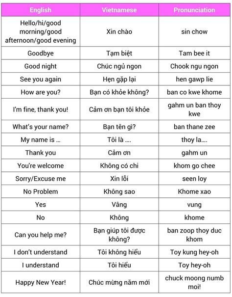 Learn Vietnamese with These Common Words