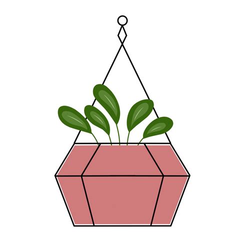 Modern Hanging Plant Illustration 35656027 Png