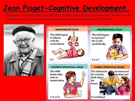 What is piaget s theory of cognitive development – Artofit