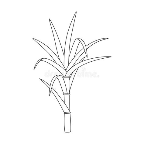 sugar cane icon outline stock illustrations  sugar cane icon