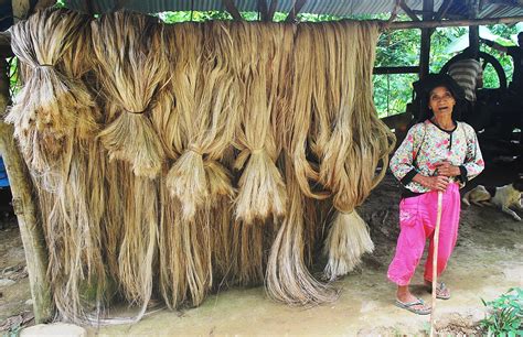Abaca And Lumad Comval Province Mindanao Island Philippines