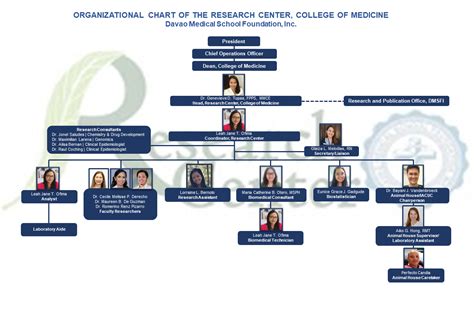 Hospital Organizational Chart Explained With Examples 40 OFF