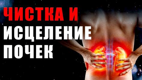 Чистка и Исцеление Почек | Здоровье | Исцеление | Восстановление ...