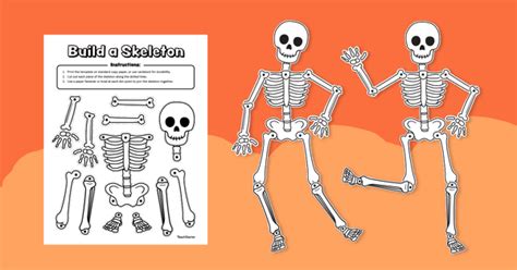 Printable Skeleton Halloween Bulletin Board Craft Teach Starter