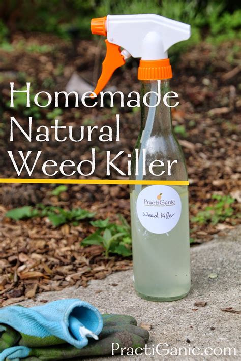 How Do You Make Weed Killer Back Gardener