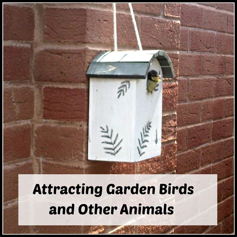 Attracting, and Keeping, Garden Birds | The Parent Game