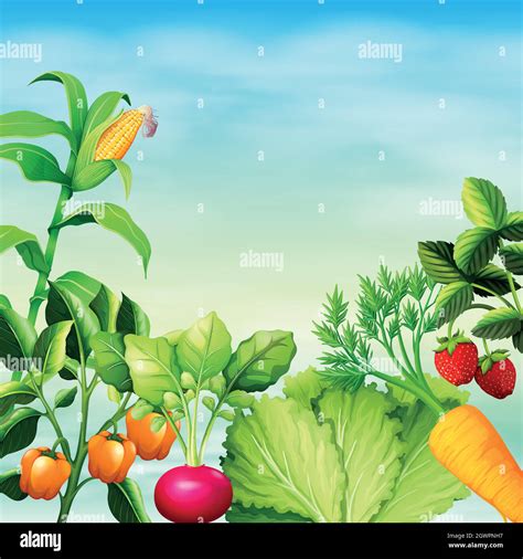 Types Many Hi Res Stock Photography And Images Alamy
