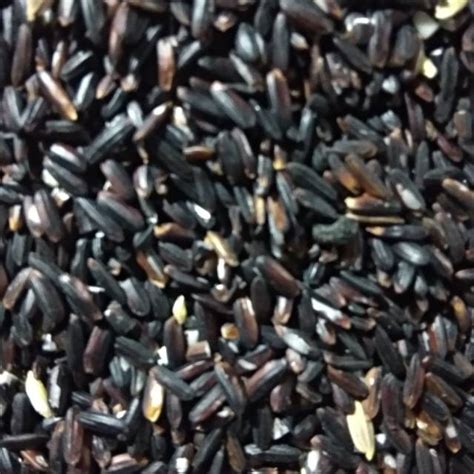 Beras Ketan Hitam 1kg Shopee Indonesia