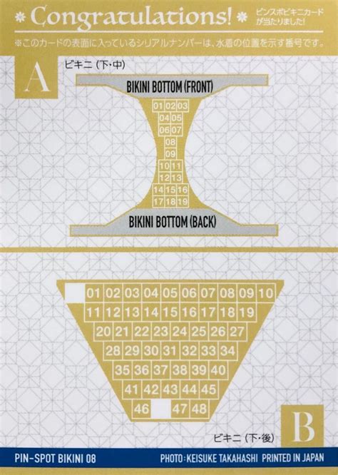 中島史恵 vol トレーディングカード ピンスポビキニカード A ヒッツ HIT S シェイプUPガールズ Pin spot Bikini 枚限定 な行 売買されたオークション