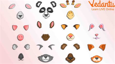 Different Human Ear Shapes All Types Of Ears Ear Pier